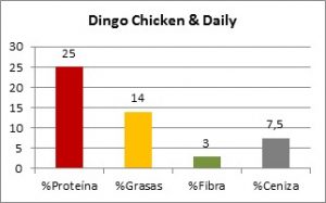 Dingo Chicken & Daily Composición