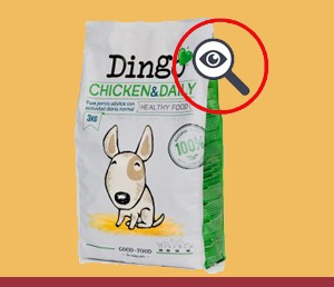 Dingo Chicken & Daily Opinión
