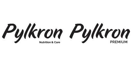 logo pylkron